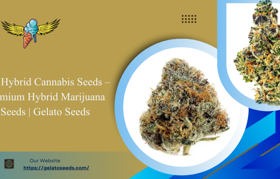 Hybrid Cannabis Seeds