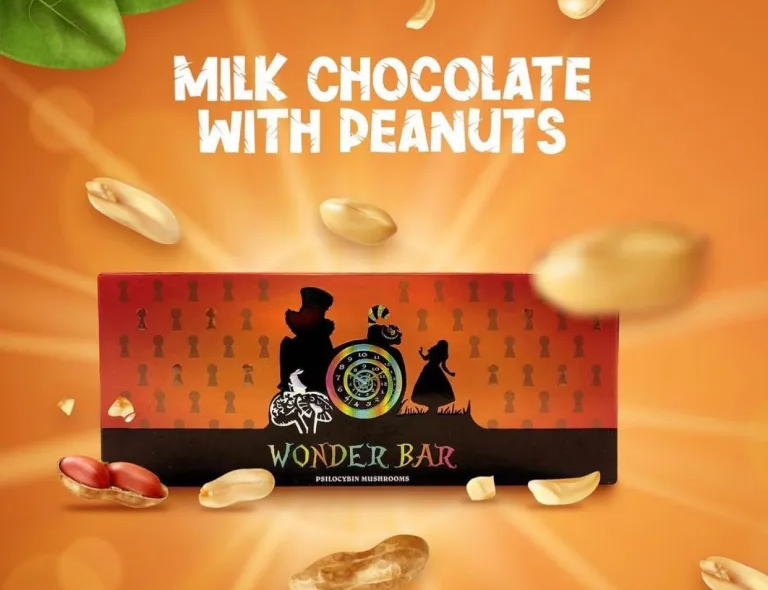 Magic mushroom chocolates