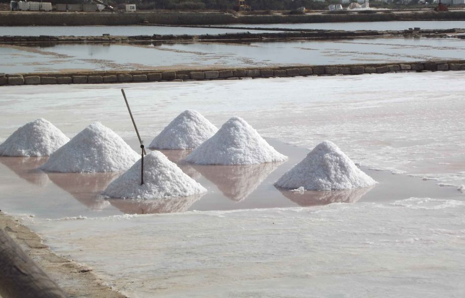 Salt Manufacturers in India