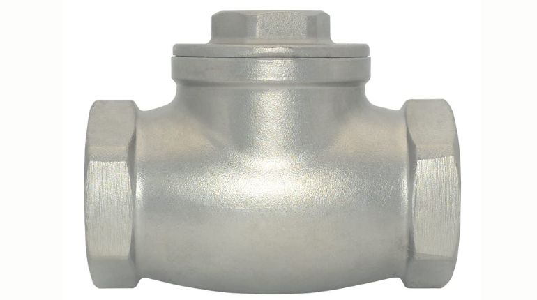 Stainless Steel Check Valve in india